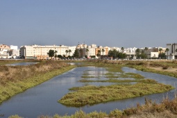 Szlak Carrascón, San Fernando