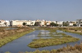 Sendero del Carrascón, San Fernándo