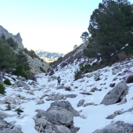 Sierra del Castril, province de Grenade