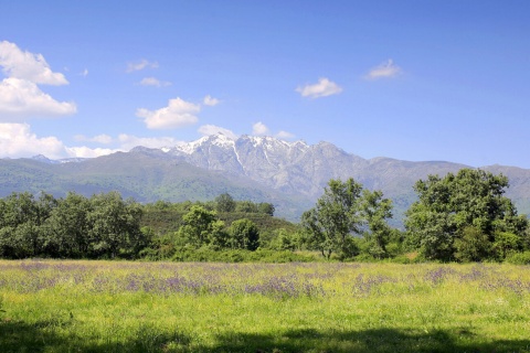 Sierra de Gredos, Vallée d’Iruelas, province d’Ávila