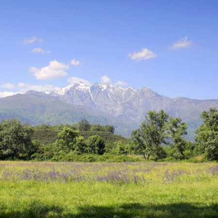 Sierra de Gredos, Vallée d’Iruelas, province d’Ávila