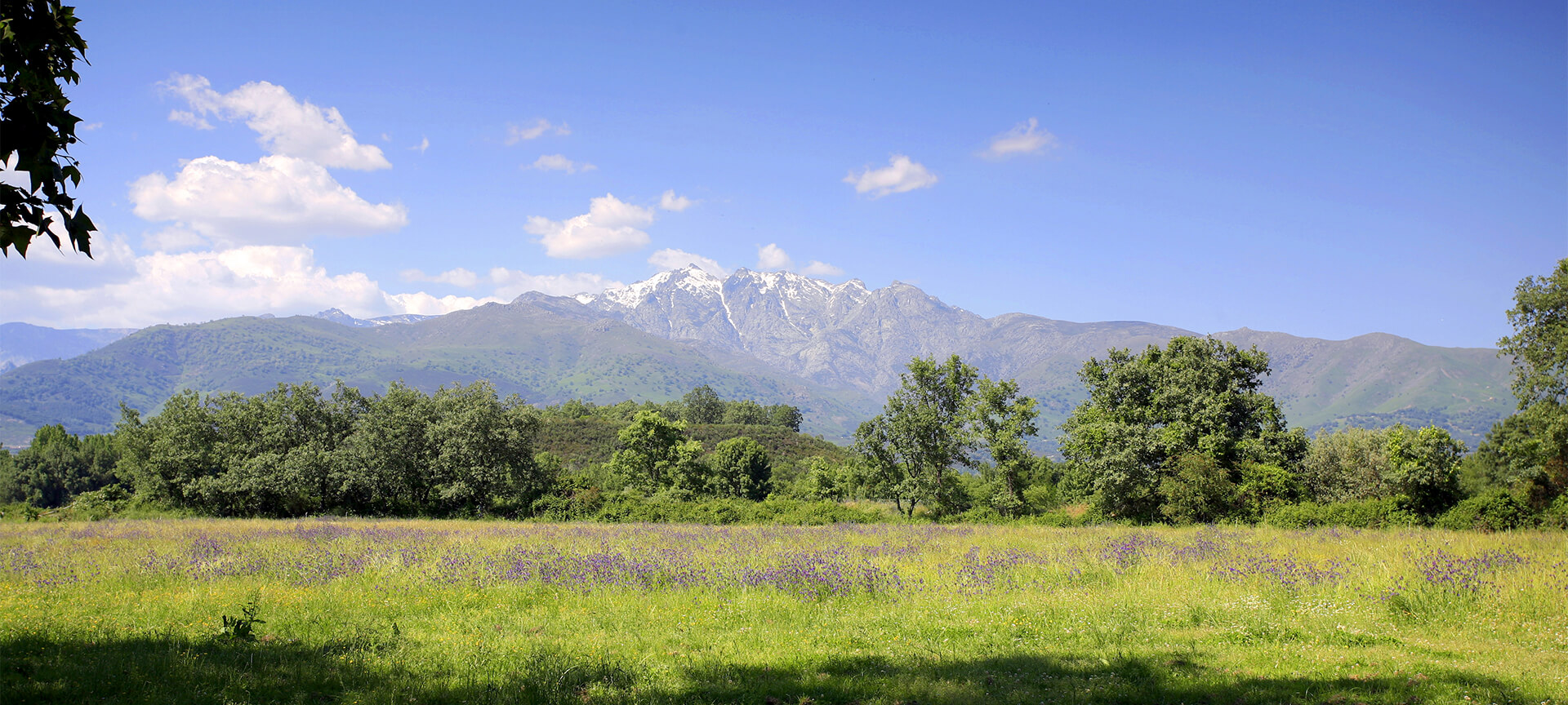 Sierra de Gredos, Iruelas valley, Ávila Sierra de Gredos, Iruelas valley, Ávila