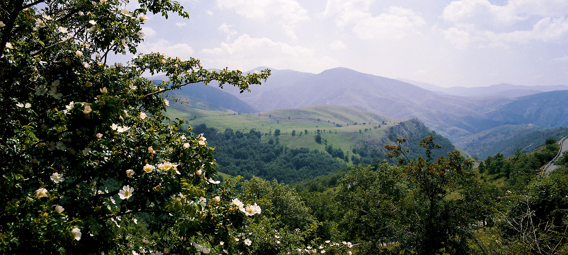 Sierra Cameros en el Parque Natural de Sierra Cebollera