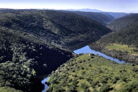Regolfa del Jartin en la reserva de la biosfera Tajo-Tejo