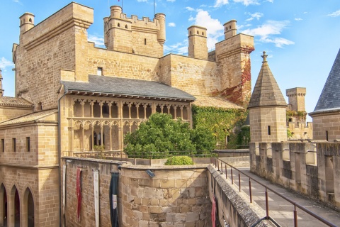 Castillo - Palacio de Olite. Navarra