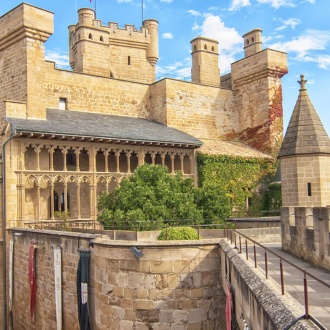 Castillo - Palacio de Olite. Navarra