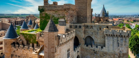 Veduta del Castello-Palazzo di Olite Veduta del Castello-Palazzo di Olite