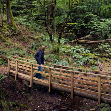 Jardins du parc naturel Señorío de Bértiz