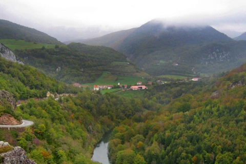 Wald von Irati. Navarra