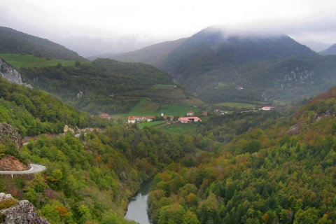 Irati Forest. Navarre