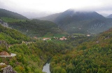 Selva de Irati Navarra