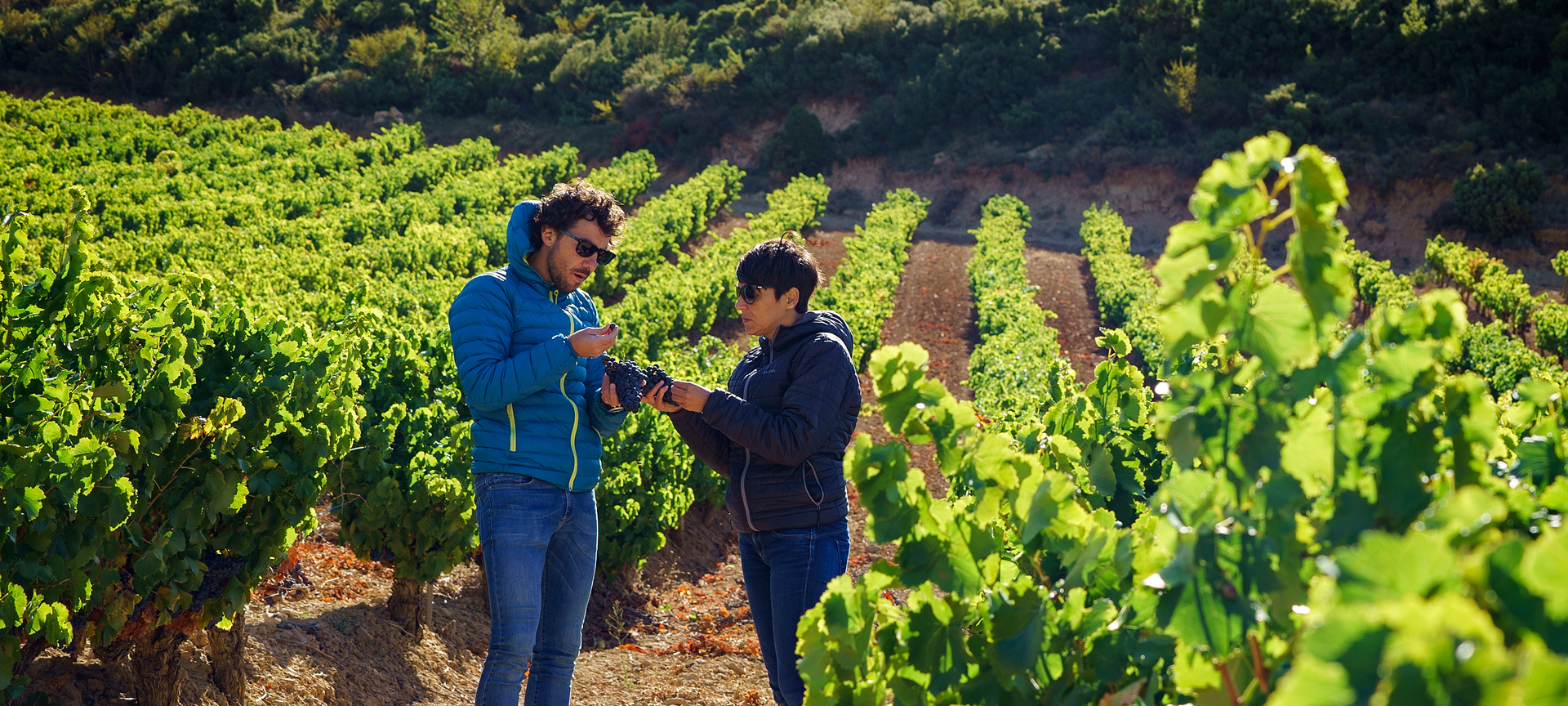 Touristen besichtigen die Weinberge in der Region Baja Montaña, Navarra Touristen besichtigen die Weinberge in der Region Baja Montaña, Navarra