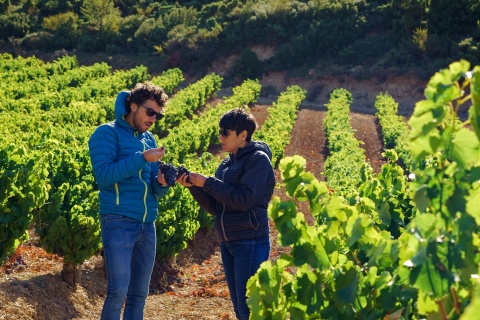 Touristen besichtigen die Weinberge in der Region Baja Montaña, Navarra