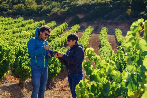 Turistas visitando un viñedo en la zona de la Baja Montaña, Navarra