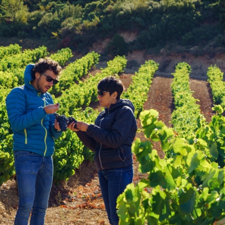 Turistas visitando um vinhedo na área de Baja Montaña, em Navarra