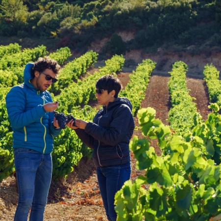 Tourists visiting a vineyard in the Baja Montaña area, Navarra