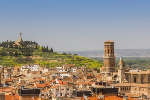 Vista de la Catedral de Santa María de Tudela, Navarra