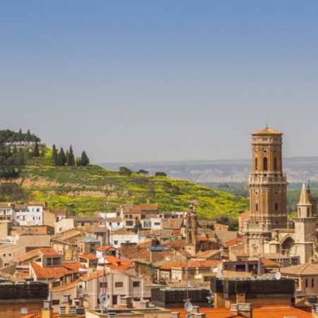 Blick auf die Kathedrale Santa María de Tudela, Navarra