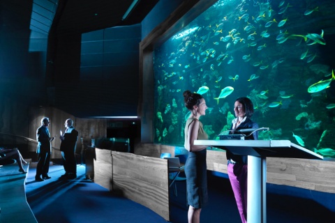  Evento en el Auditorio Aquarium en San Sebastián