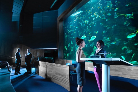  Event at the Aquarium Auditorium in San Sebastián