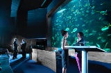 Veranstaltung im Aquarium Auditorium in San Sebastian