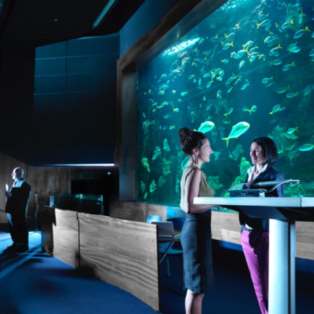 Event at the Aquarium Auditorium in San Sebastián