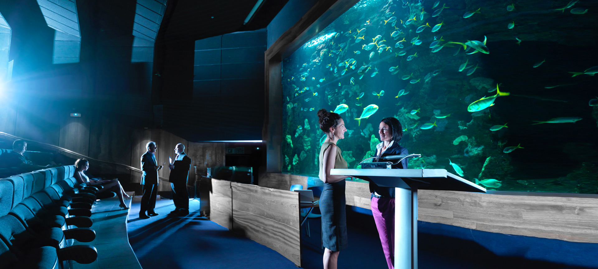 Veranstaltung im Aquarium Auditorium in San Sebastian Veranstaltung im Aquarium Auditorium in San Sebastian