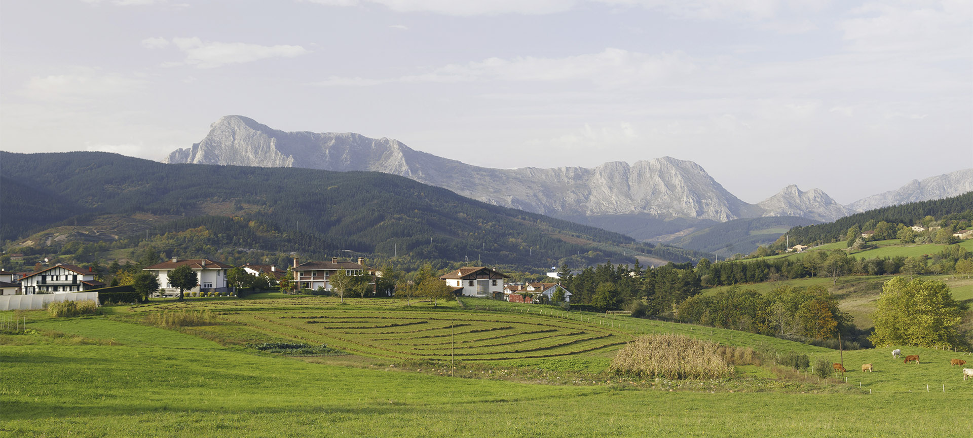 Panoramic view of Elorrio (Bizkaia, the Basque Country)