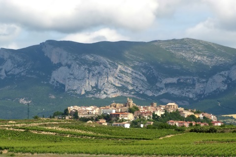 View of Laguardia, Álava (The Basque Country)