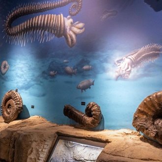 Musée Nautilus à Mutriku, Gipuzkoa, Pays basque