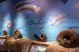 Muzeim Nautilius w Mutriku, Gipuzkoa, Kraj Basków