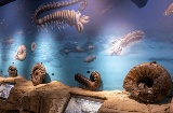 Museu Nautilius em Mutriku, Gipuzkoa, País Basco
