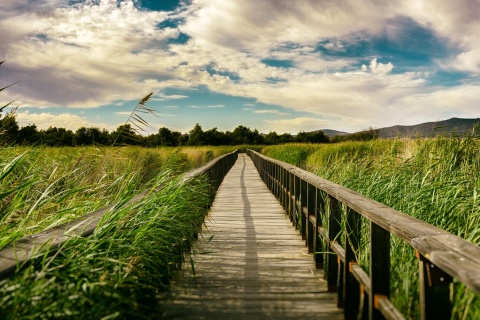 Tablas de Daimiel National Park