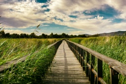 Tablas de Daimiel National Park