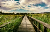 Park Narodowy Tablas de Daimiel