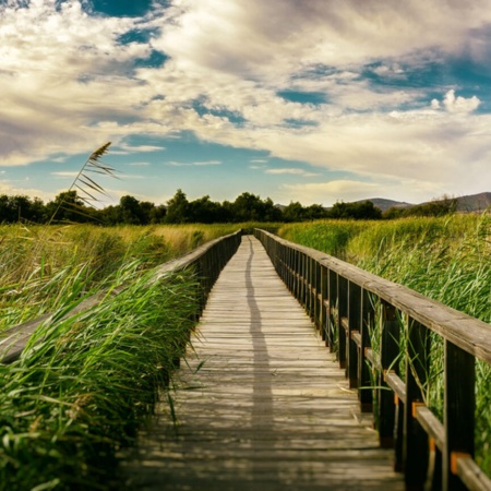 Nationalpark Tablas de Daimiel