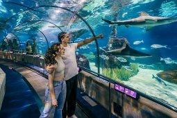 L'Aquarium de Barcelona
