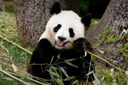 Zoo Aquarium de Madrid