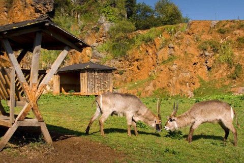 Cabárceno Wildlife Park