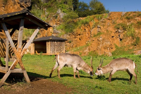 Themenpark der Natur Cabárceno