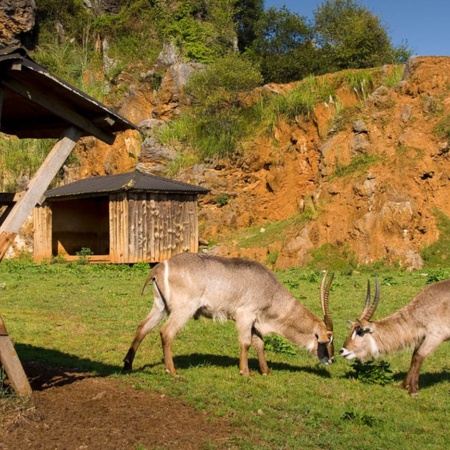 Parque da Natureza de Cabárceno