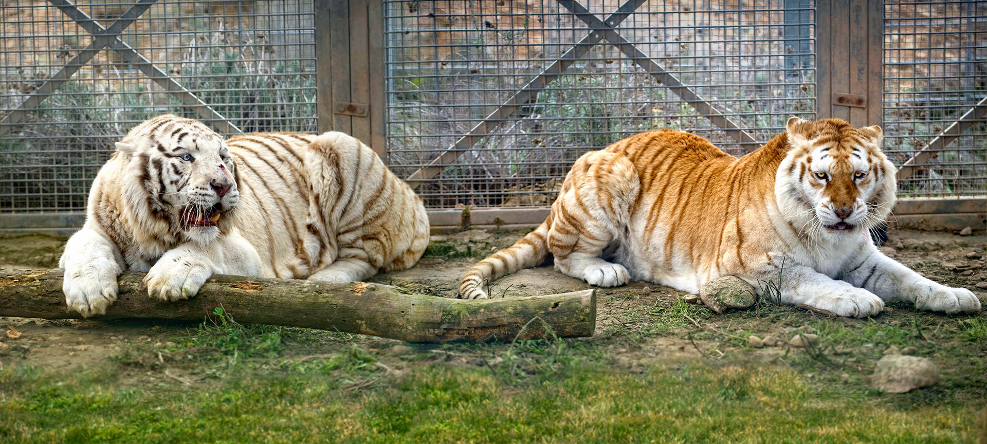 Парк приключений Sendaviva