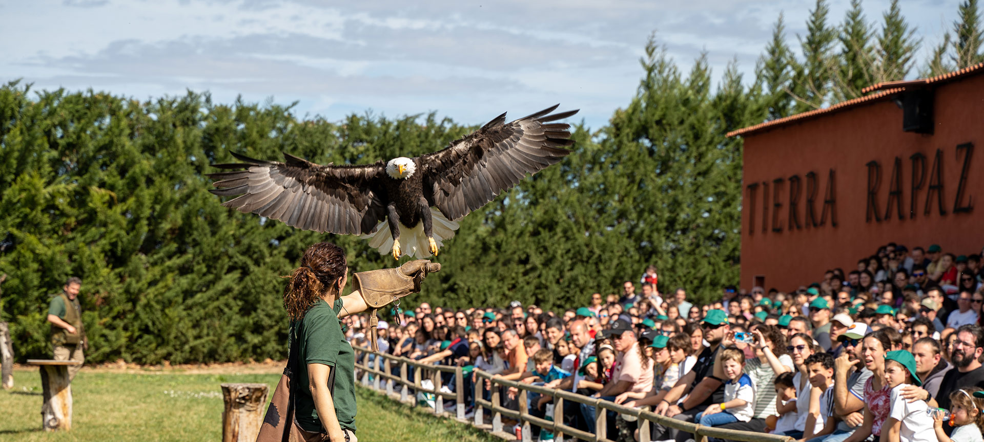 Выставка хищников