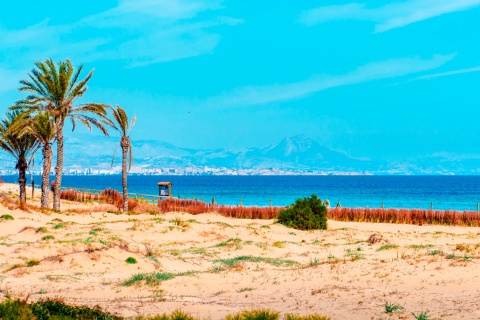 Der Strand Arenales del Sol in Elche in Alicante, Valencia