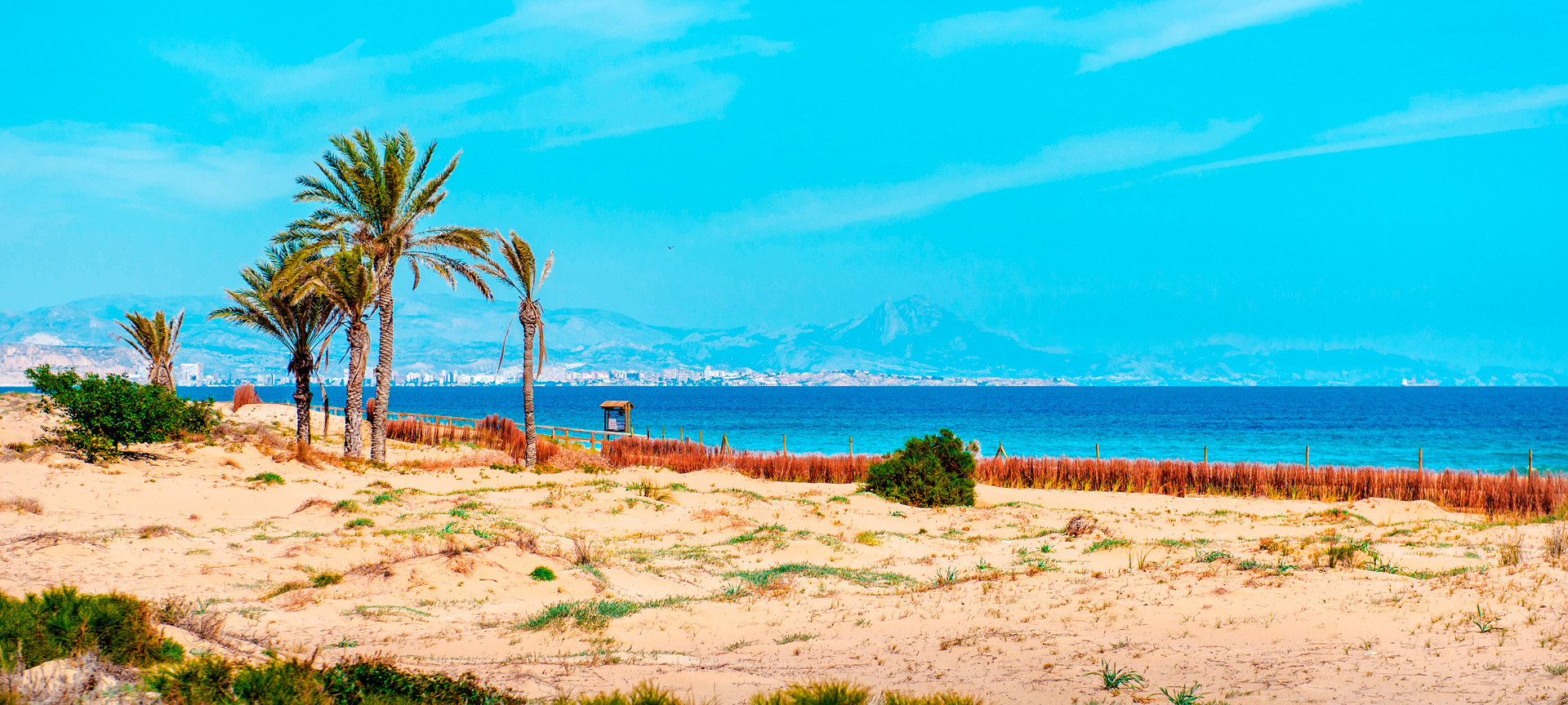 Der Strand Arenales del Sol in Elche in Alicante, Valencia Der Strand Arenales del Sol in Elche in Alicante, Valencia