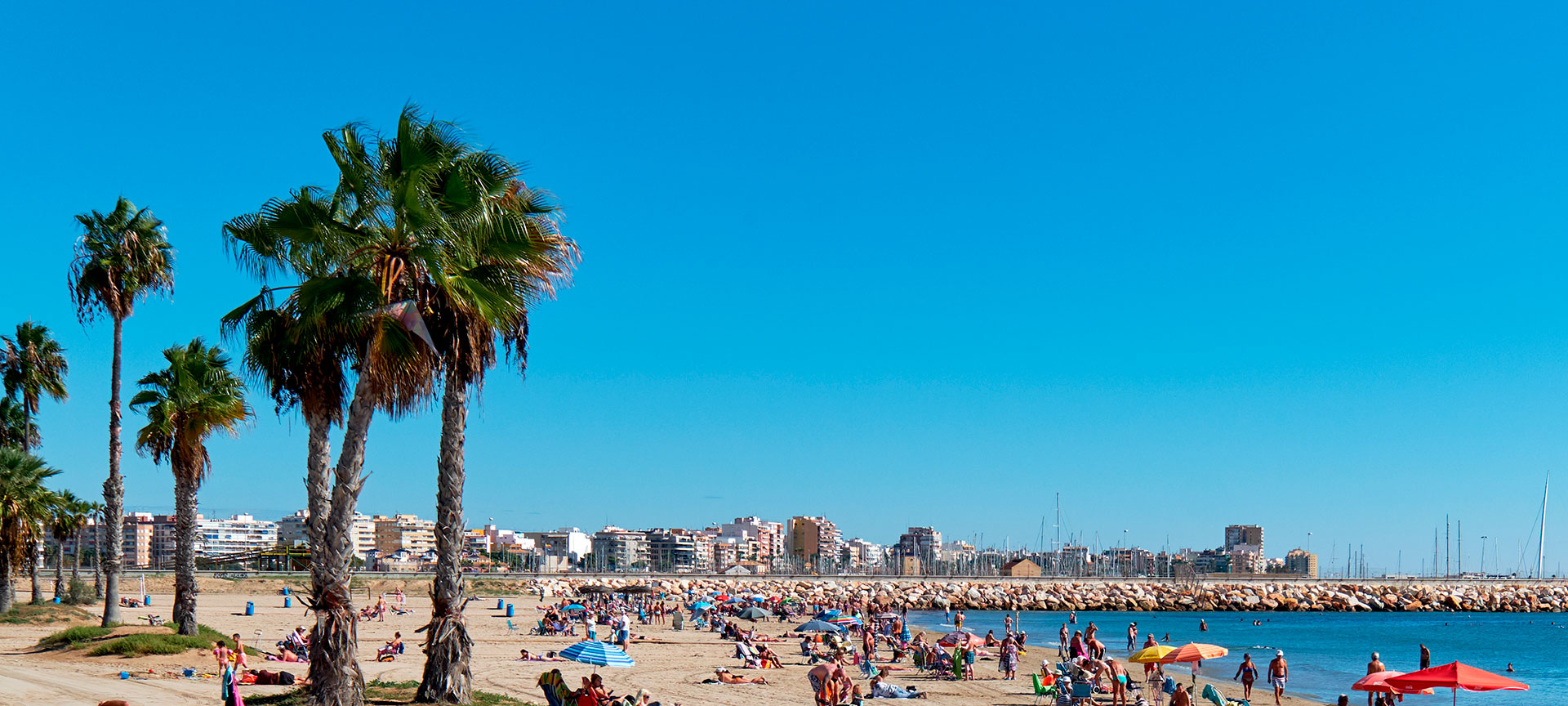Strand Los Náufragos in Torrevieja (Provinz Alicante)