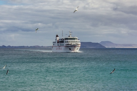 Kreuzfahrtschiff in Arrecife, Lanzarote