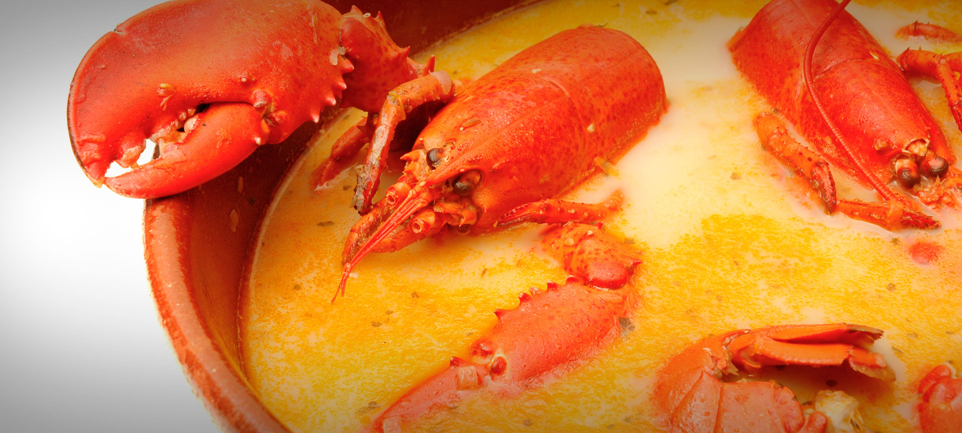 ロブスターのシチュー