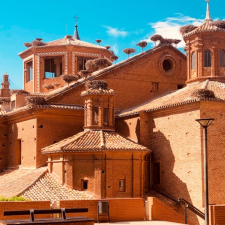 Kolegiata San Miguel w Alfaro. Największa kolonia bocianów w Europie