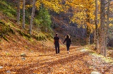 Couple strolling in Sierra de Cebollera Natural Park, La Rioja